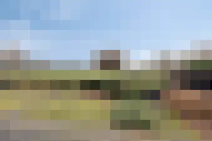 Eekwal 8 Veenendaal thumbnail 4