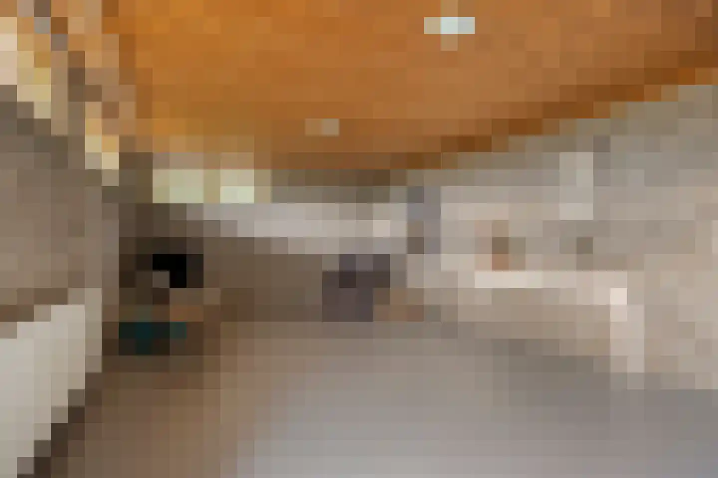 Eekwal 8 Veenendaal thumbnail 49