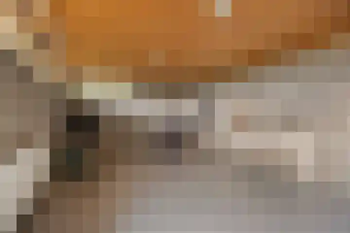 Eekwal 8 Veenendaal thumbnail 49