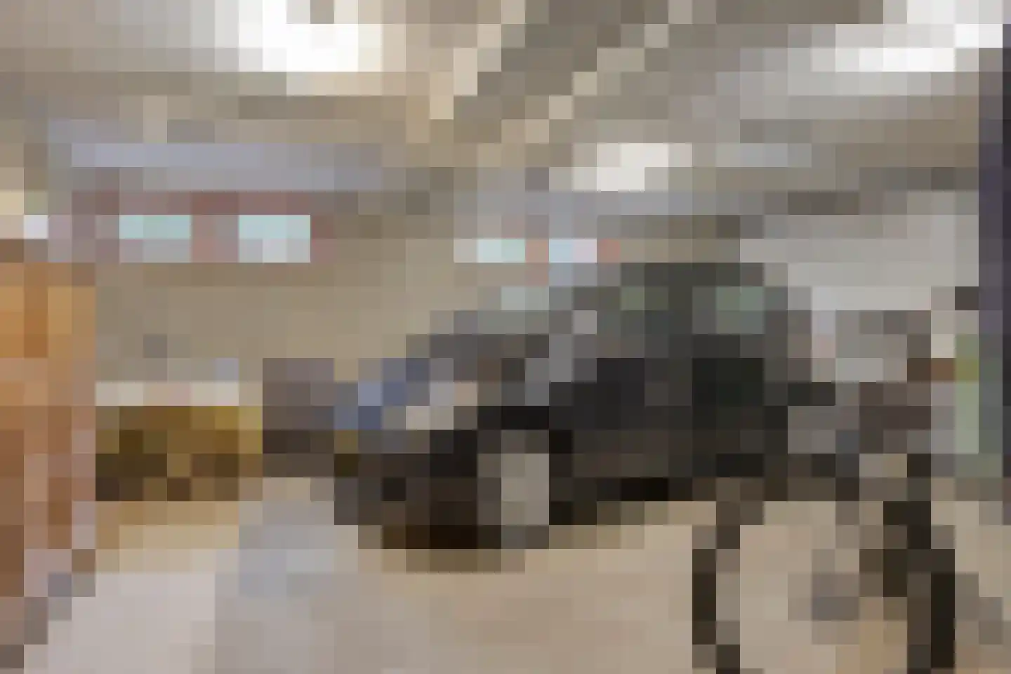 Eekwal 8 Veenendaal thumbnail 52