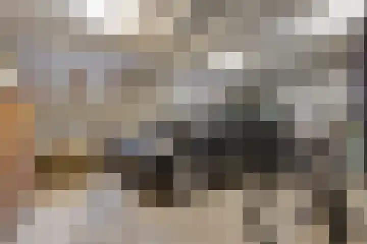 Eekwal 8 Veenendaal thumbnail 52