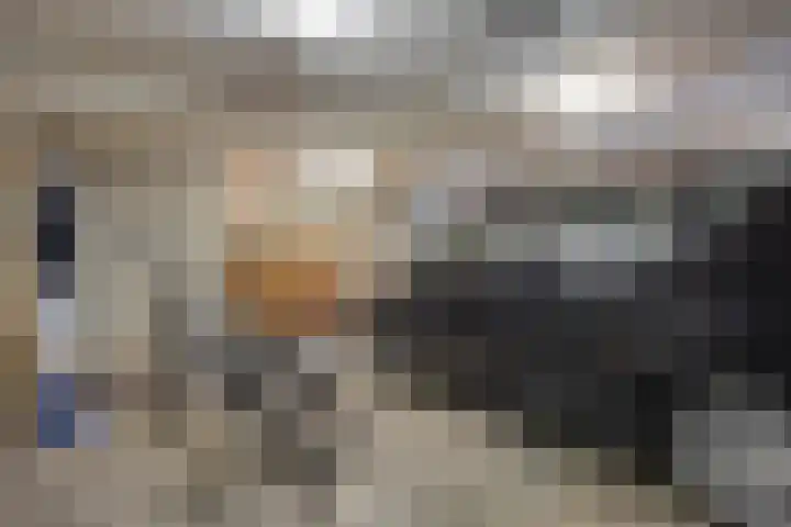 Eekwal 8 Veenendaal thumbnail 53