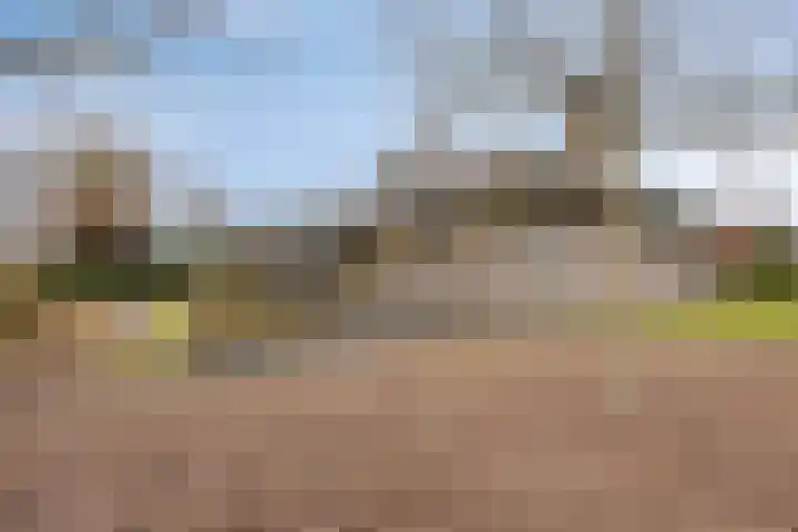 Eekwal 8 Veenendaal thumbnail 54