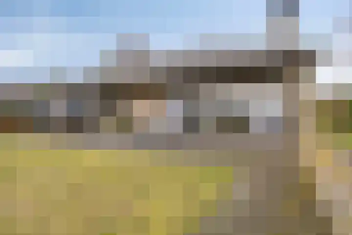 Eekwal 8 Veenendaal thumbnail 55