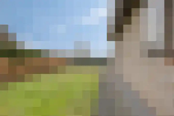 Eekwal 8 Veenendaal thumbnail 57