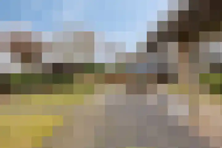 Eekwal 8 Veenendaal thumbnail 58