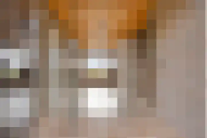 Eekwal 8 Veenendaal thumbnail 6