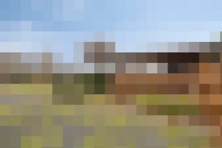 Eekwal 8 Veenendaal thumbnail 61