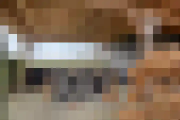 Eekwal 8 Veenendaal thumbnail 62