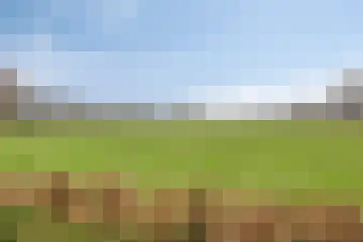 Eekwal 8 Veenendaal thumbnail 64