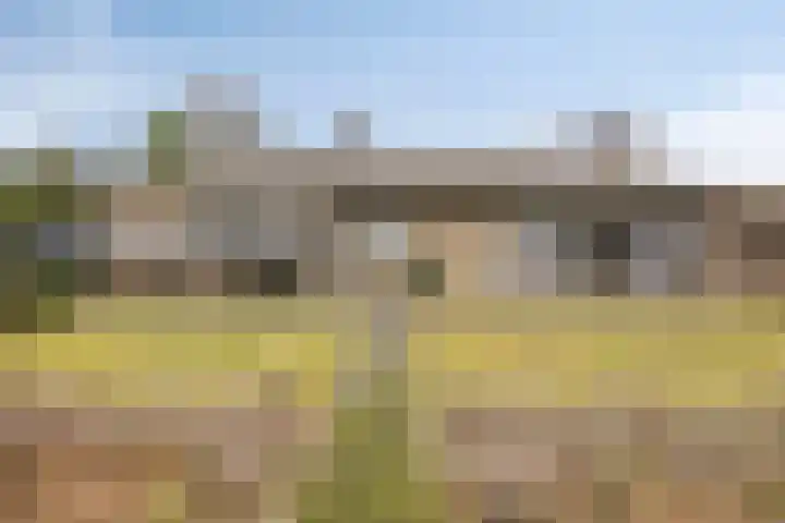 Eekwal 8 Veenendaal thumbnail 65