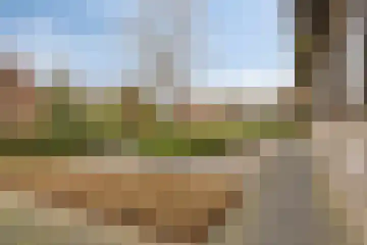 Eekwal 8 Veenendaal thumbnail 67