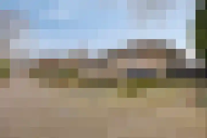 Eekwal 8 Veenendaal thumbnail 71