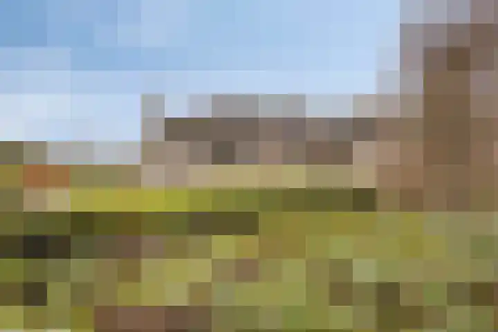 Eekwal 8 Veenendaal thumbnail 73