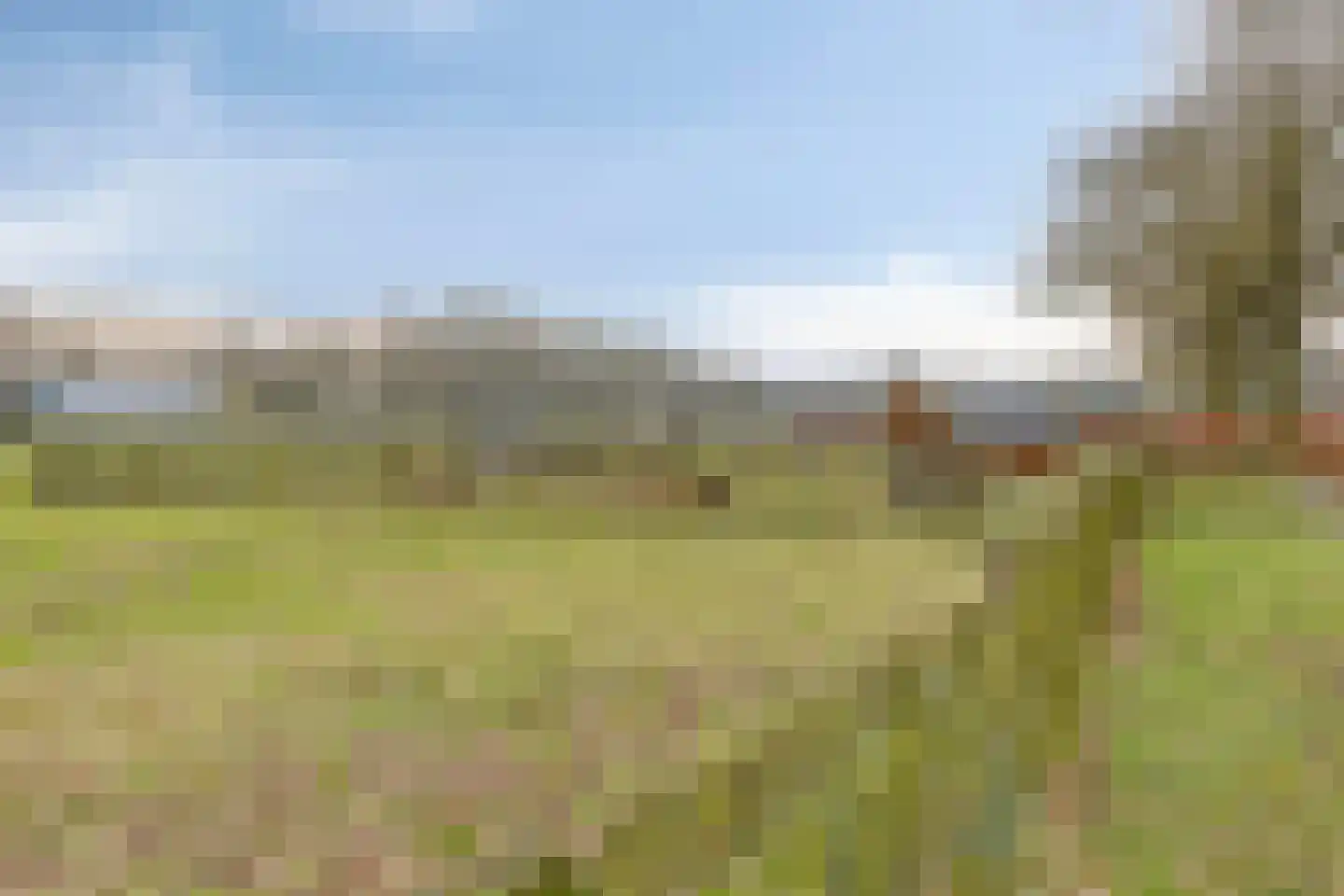 Eekwal 8 Veenendaal thumbnail 75