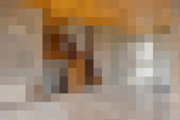 Eekwal 8 Veenendaal thumbnail 8