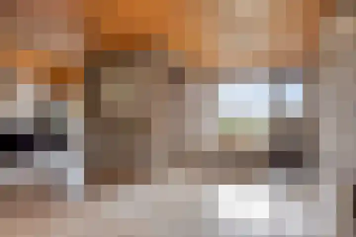 Eekwal 8 Veenendaal thumbnail 9