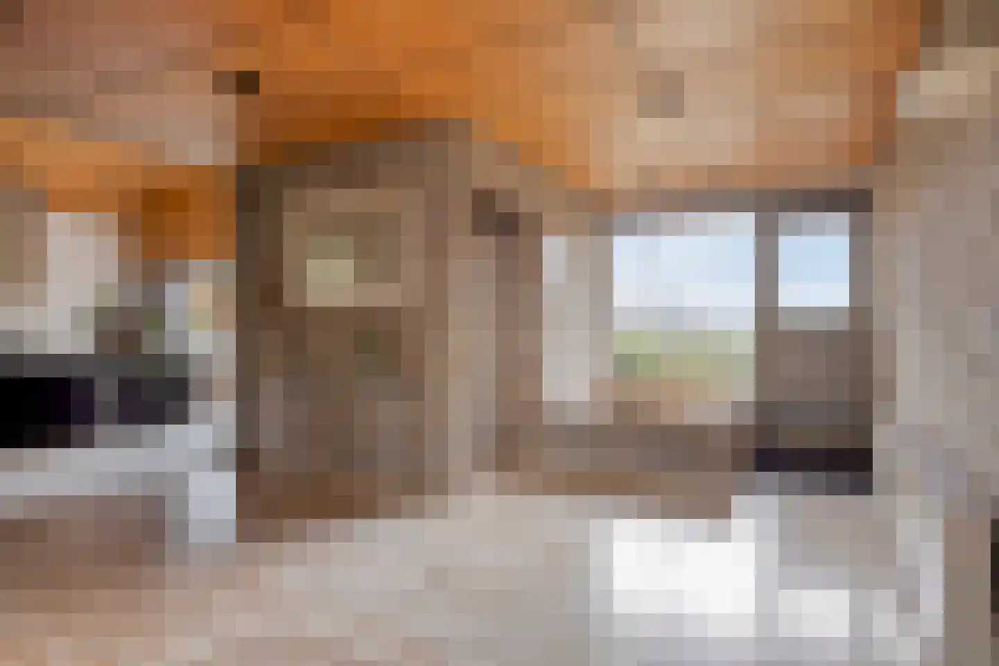 Eekwal 8 Veenendaal thumbnail 9