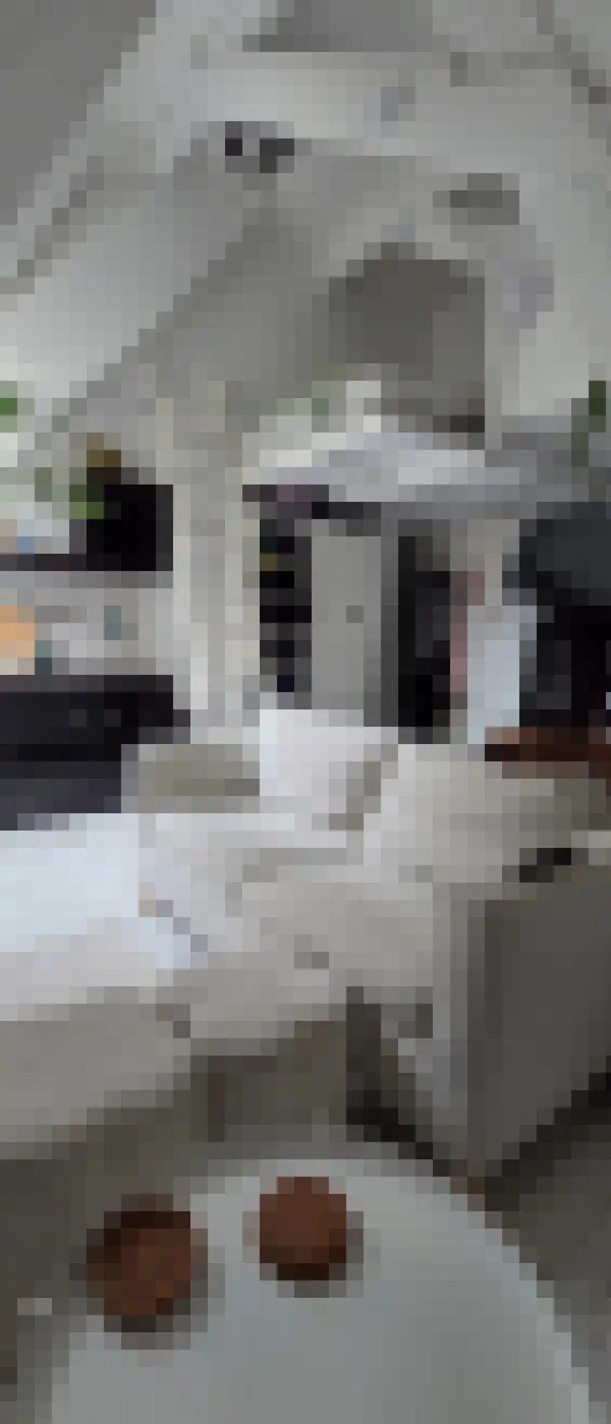 Eekwal Zwolle thumbnail 4