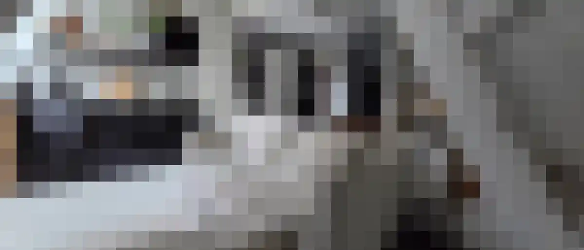 Eekwal Zwolle thumbnail 5