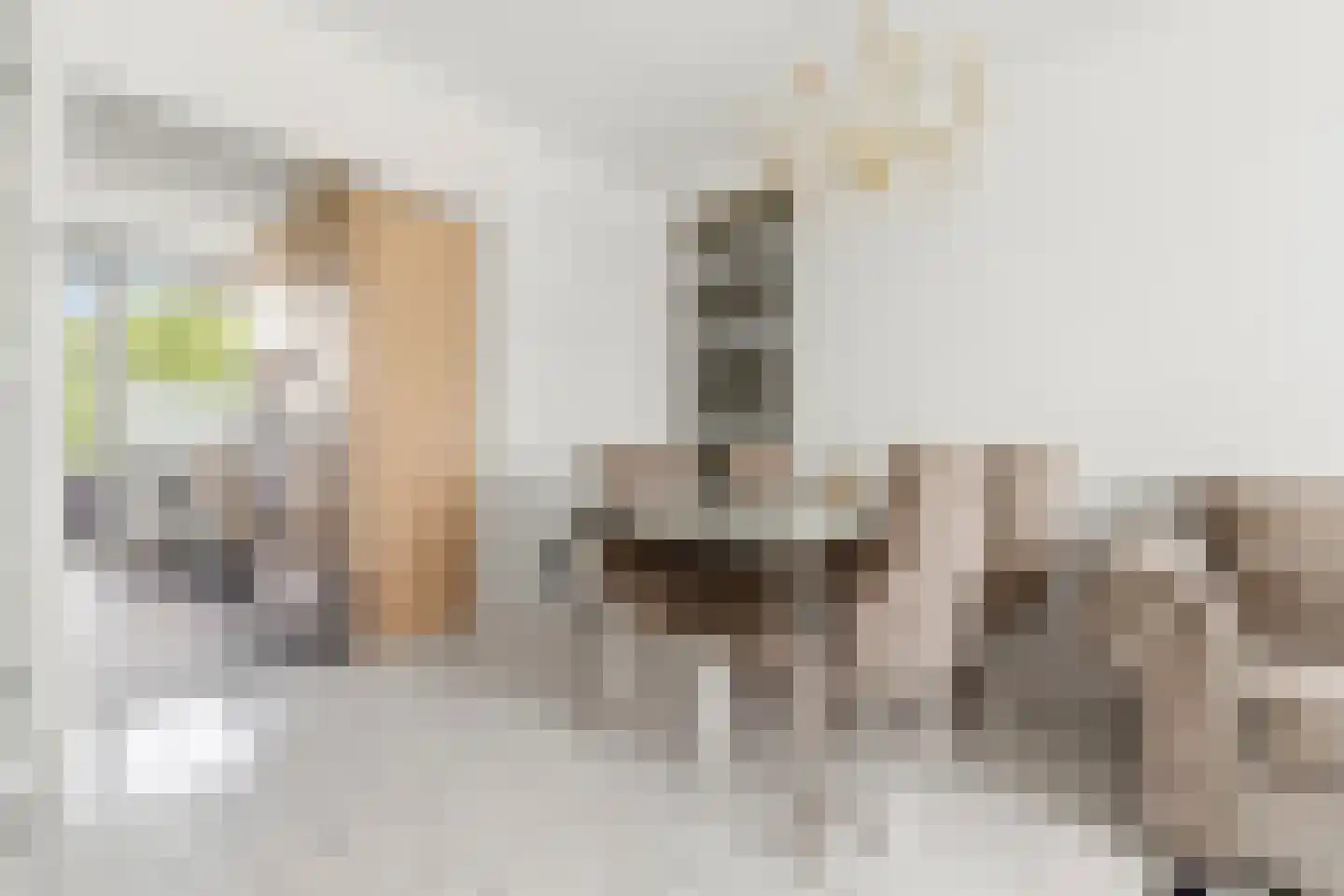 Eeldeplantsoen 34 Den Haag thumbnail 10