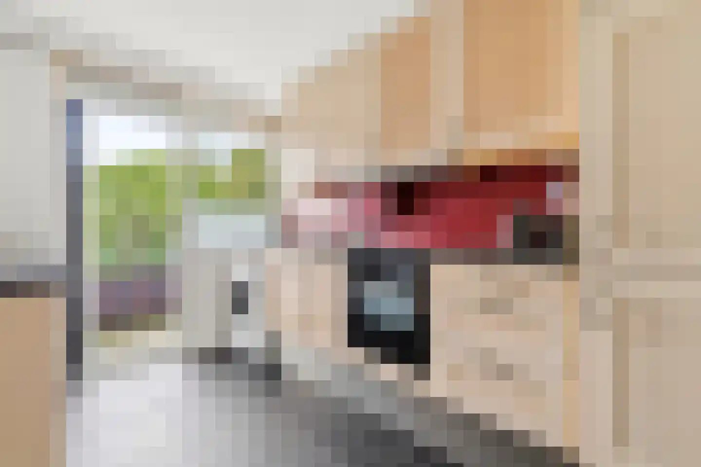Eeldeplantsoen 34 Den Haag thumbnail 13