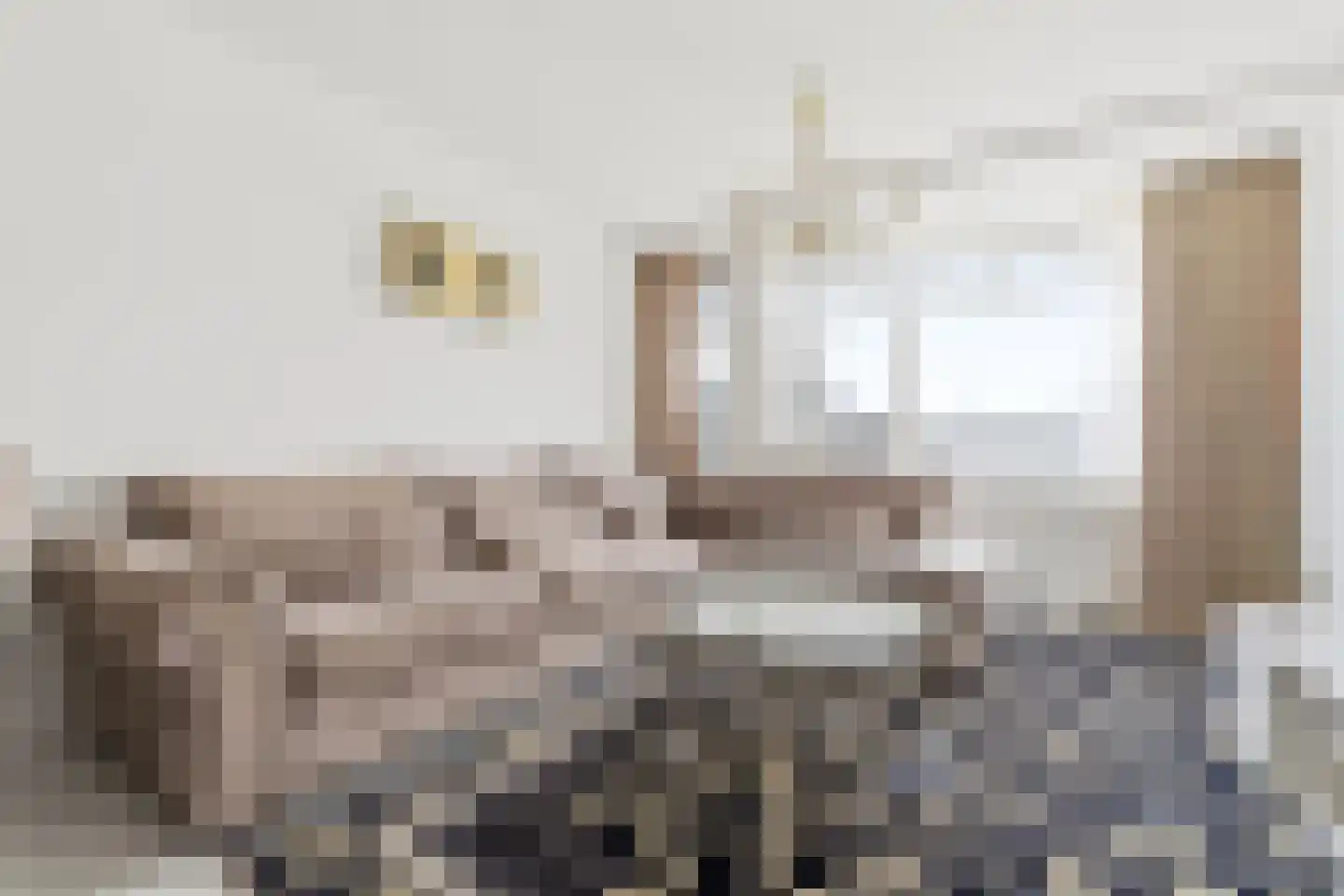 Eeldeplantsoen 34 Den Haag thumbnail 7