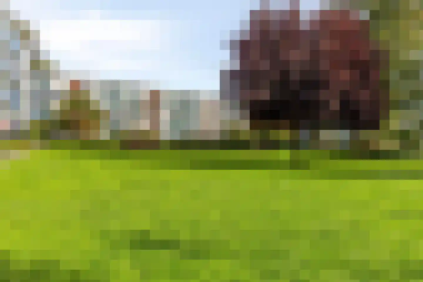 Eeldeplantsoen 49 Den Haag thumbnail 33