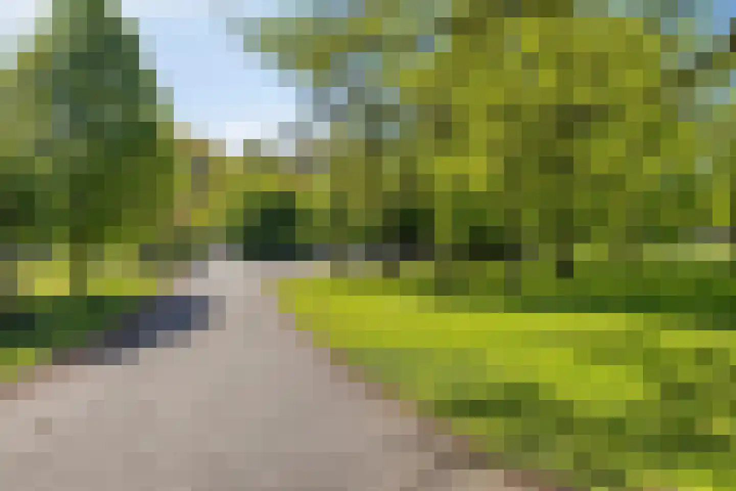 Eeldeplantsoen 49 Den Haag thumbnail 34