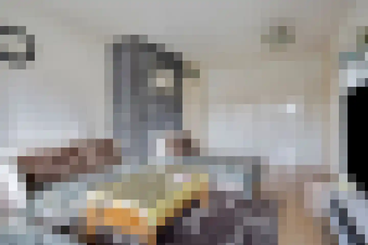 Eeldeplantsoen 49 Den Haag thumbnail 6