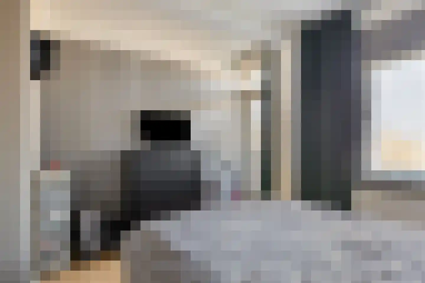 Eeldeplantsoen 51 Den Haag thumbnail 12