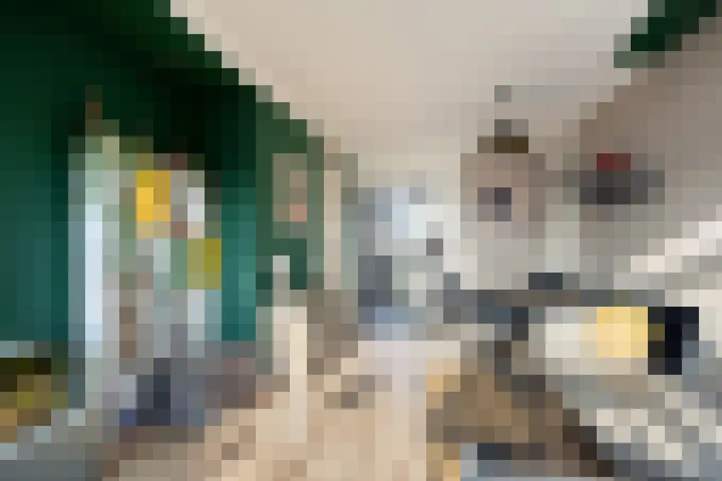 Eeldeplantsoen 51 Den Haag thumbnail 6