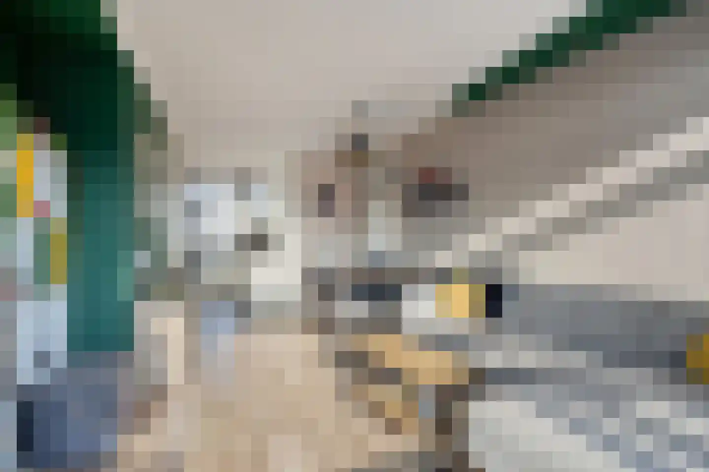 Eeldeplantsoen 51 Den Haag thumbnail 7