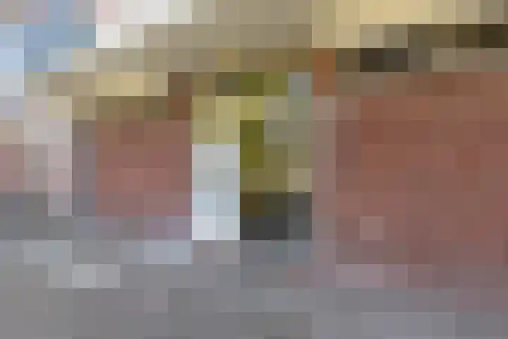 Eeldeplantsoen 52 Den Haag thumbnail 27