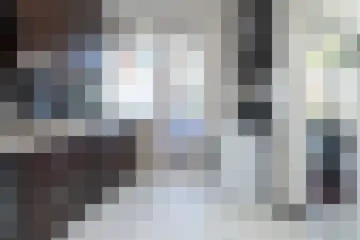 Eeldeplantsoen 52 Den Haag thumbnail 8