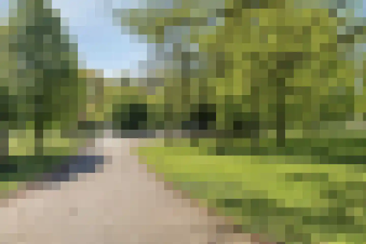 Eeldeplantsoen 70 Den Haag thumbnail 31