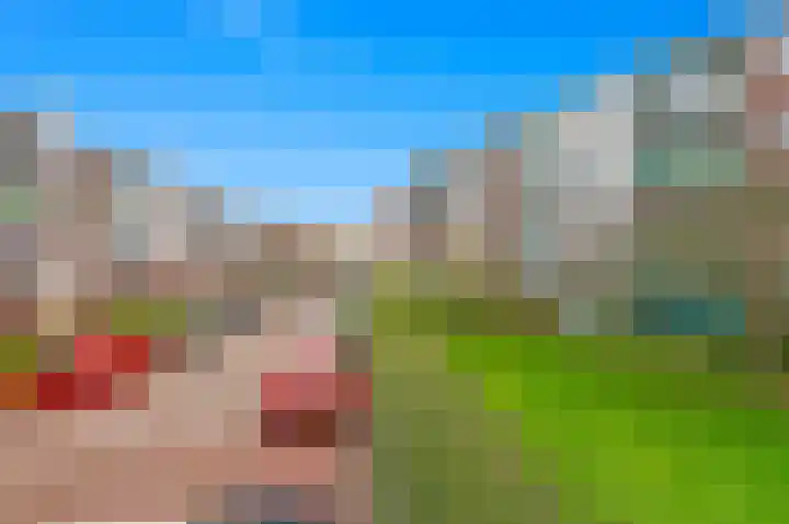 Eeldeplantsoen 73 Den Haag thumbnail 4