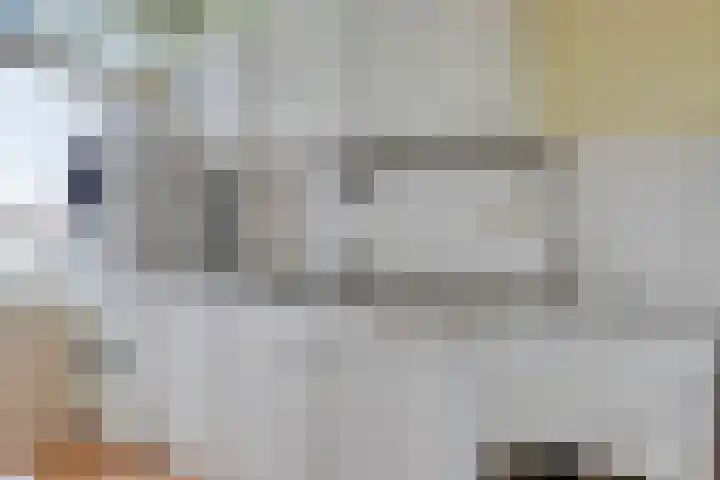 Eeldeplantsoen 87 Den Haag thumbnail 10