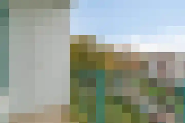 Eeldeplantsoen 87 Den Haag thumbnail 13