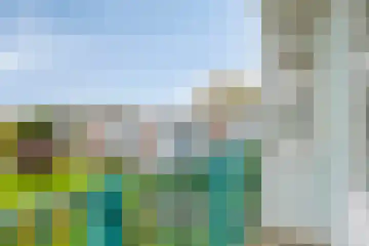 Eeldeplantsoen 87 Den Haag thumbnail 20
