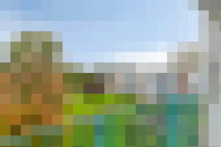 Eeldeplantsoen 87 Den Haag thumbnail 22