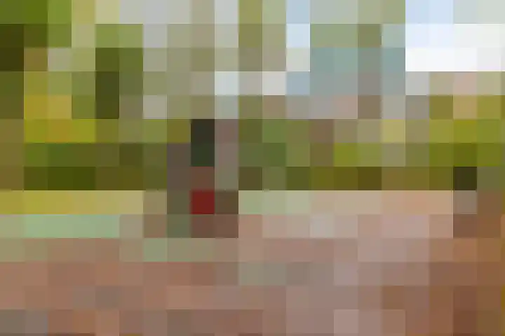 Eeldeplantsoen 87 Den Haag thumbnail 25