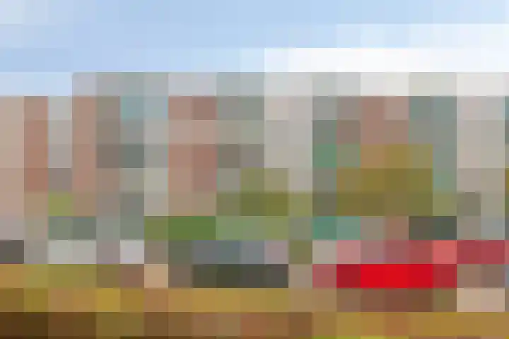 Eeldeplantsoen 87 Den Haag thumbnail 4