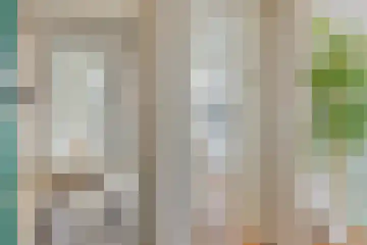 Eeldeplantsoen 87 Den Haag thumbnail 7