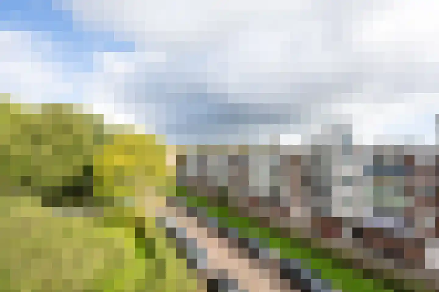 Eeldeplantsoen 95 Den Haag thumbnail 23