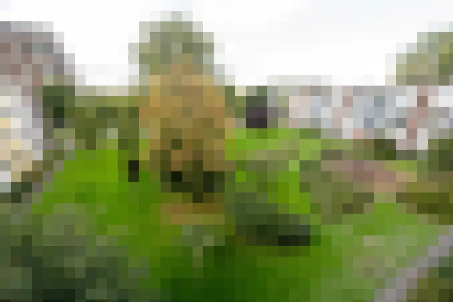 Eeldeplantsoen 95 Den Haag thumbnail 30