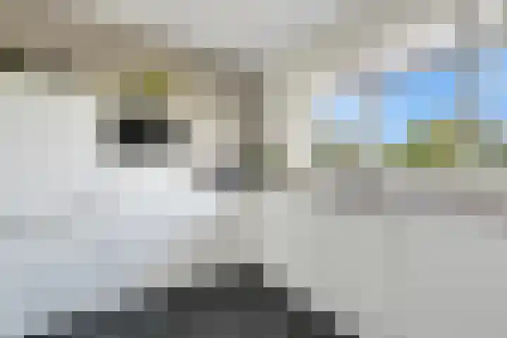 Eelderdiep 29 Zwolle thumbnail 13
