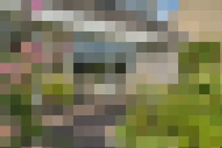 Eelderdiep 29 Zwolle thumbnail 28