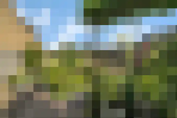 Eelderdiep 29 Zwolle thumbnail 30