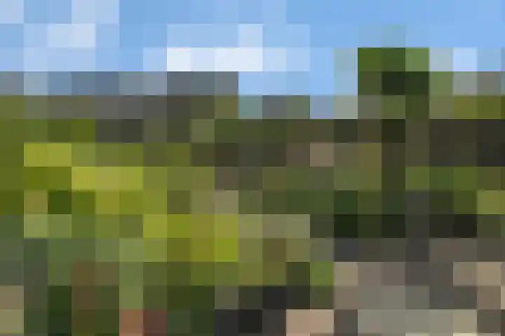 Eelderdiep 29 Zwolle thumbnail 31